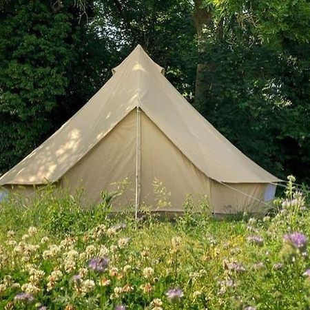 'T Schaaphof Tent En Ontbijt Hotel Deinze Eksteriør billede
